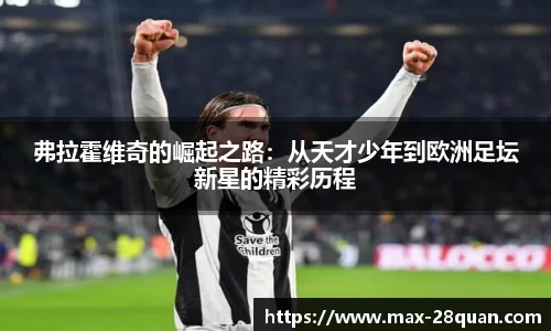 28圈平台