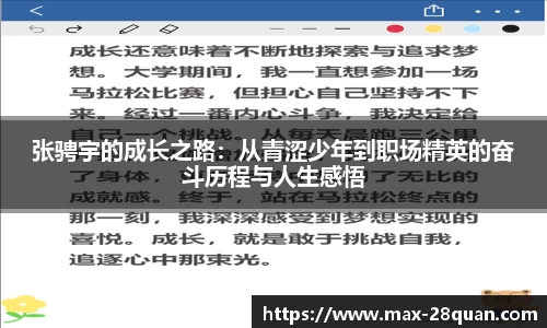 28圈平台